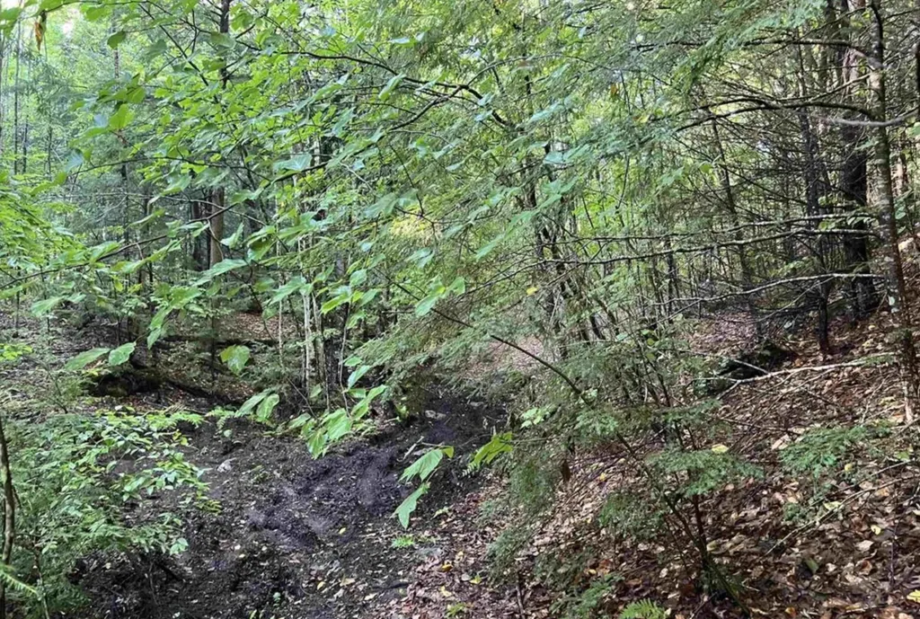 Map 6, Lot 38 Chadwick Hill Road Webster NH 03303