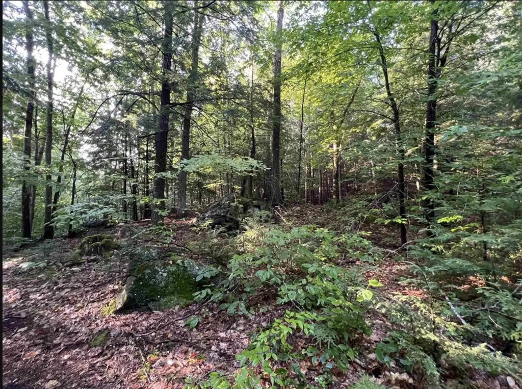 Map 6, Lot 38 Chadwick Hill Road Webster NH 03303