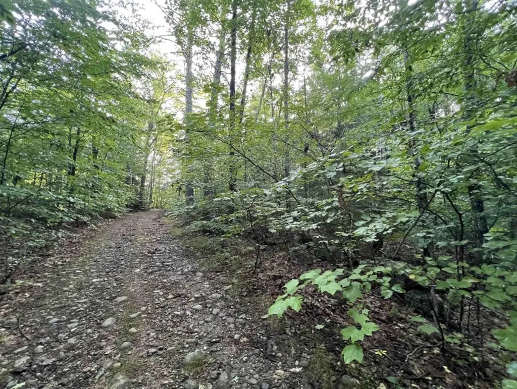 Map 6, Lot 38 Chadwick Hill Road Webster NH 03303