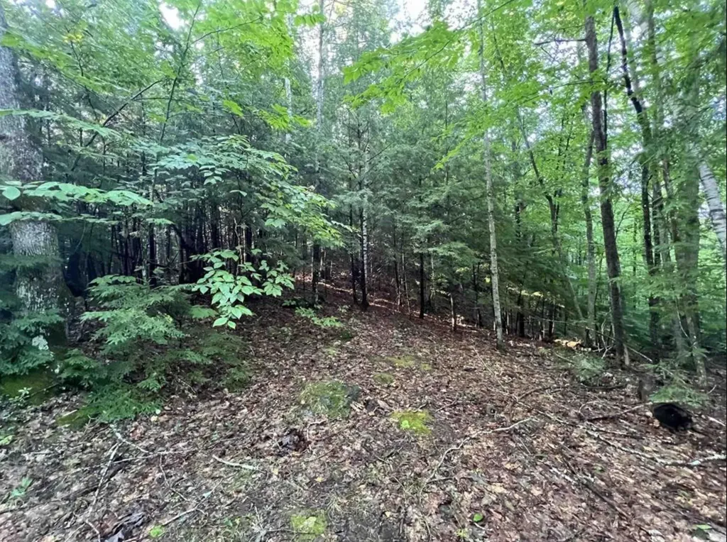 Map 6, Lot 38 Chadwick Hill Road Webster NH 03303