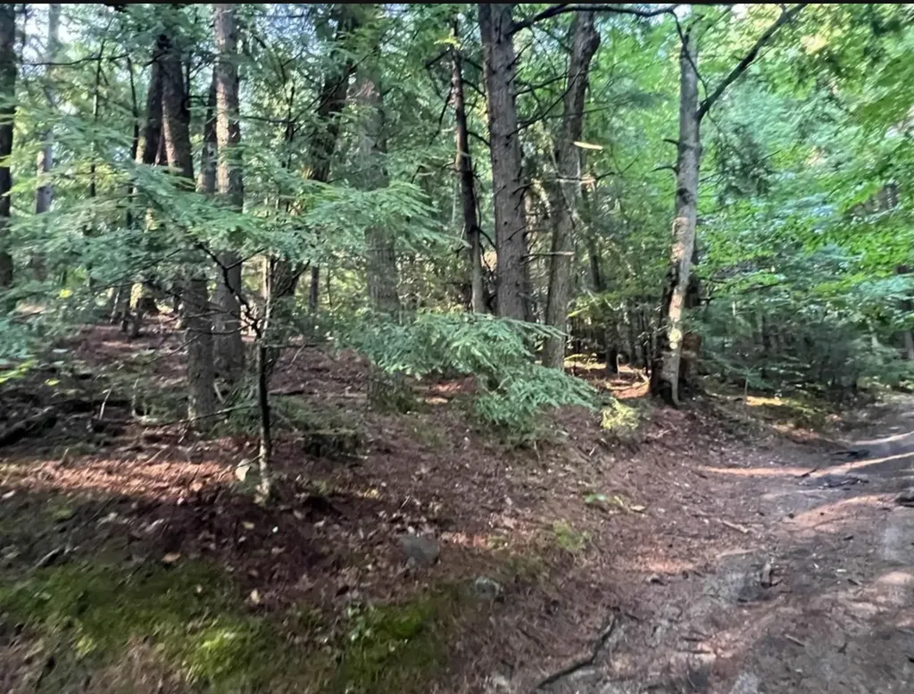 Map 6, Lot 38 Chadwick Hill Road Webster NH 03303