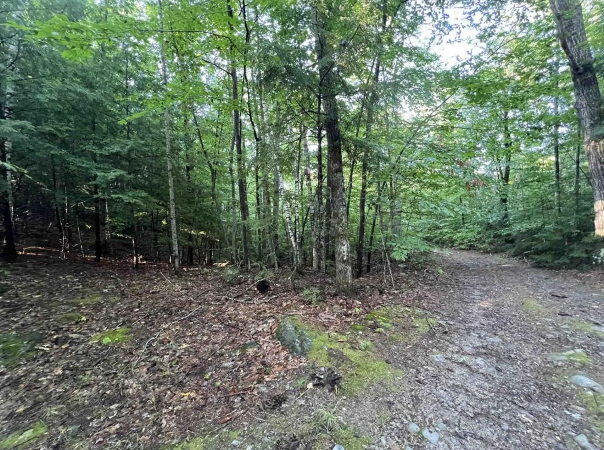 Map 6, Lot 38 Chadwick Hill Road Webster NH 03303