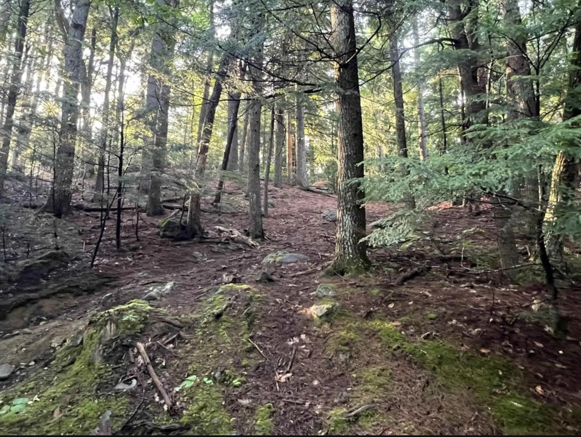 Map 6, Lot 38 Chadwick Hill Road Webster NH 03303