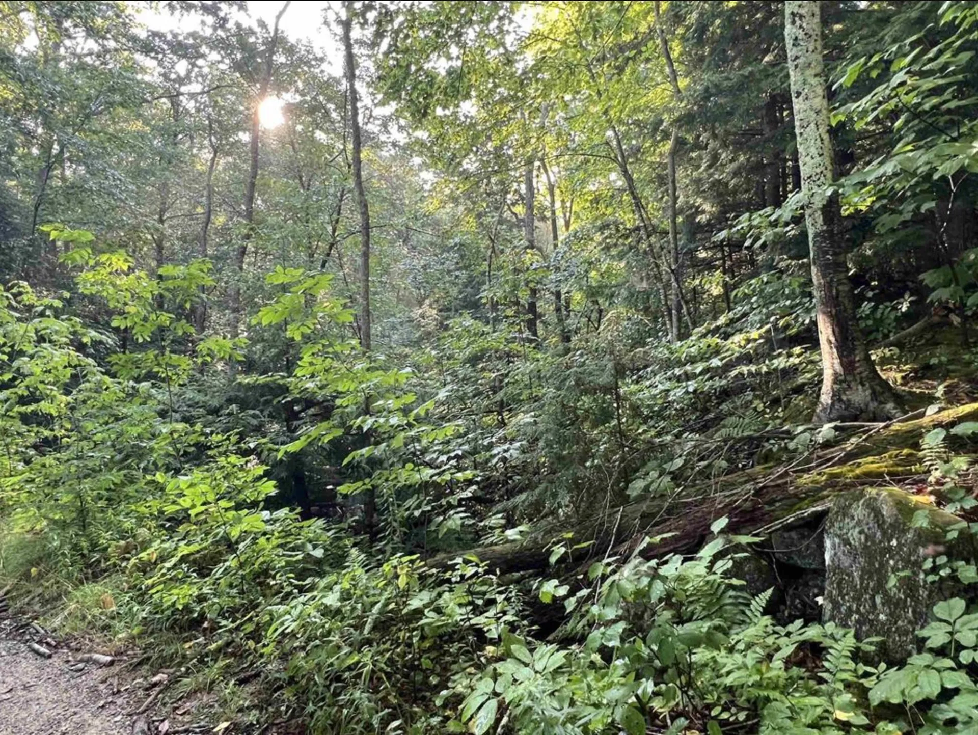 Map 6, Lot 38 Chadwick Hill Road Webster NH 03303