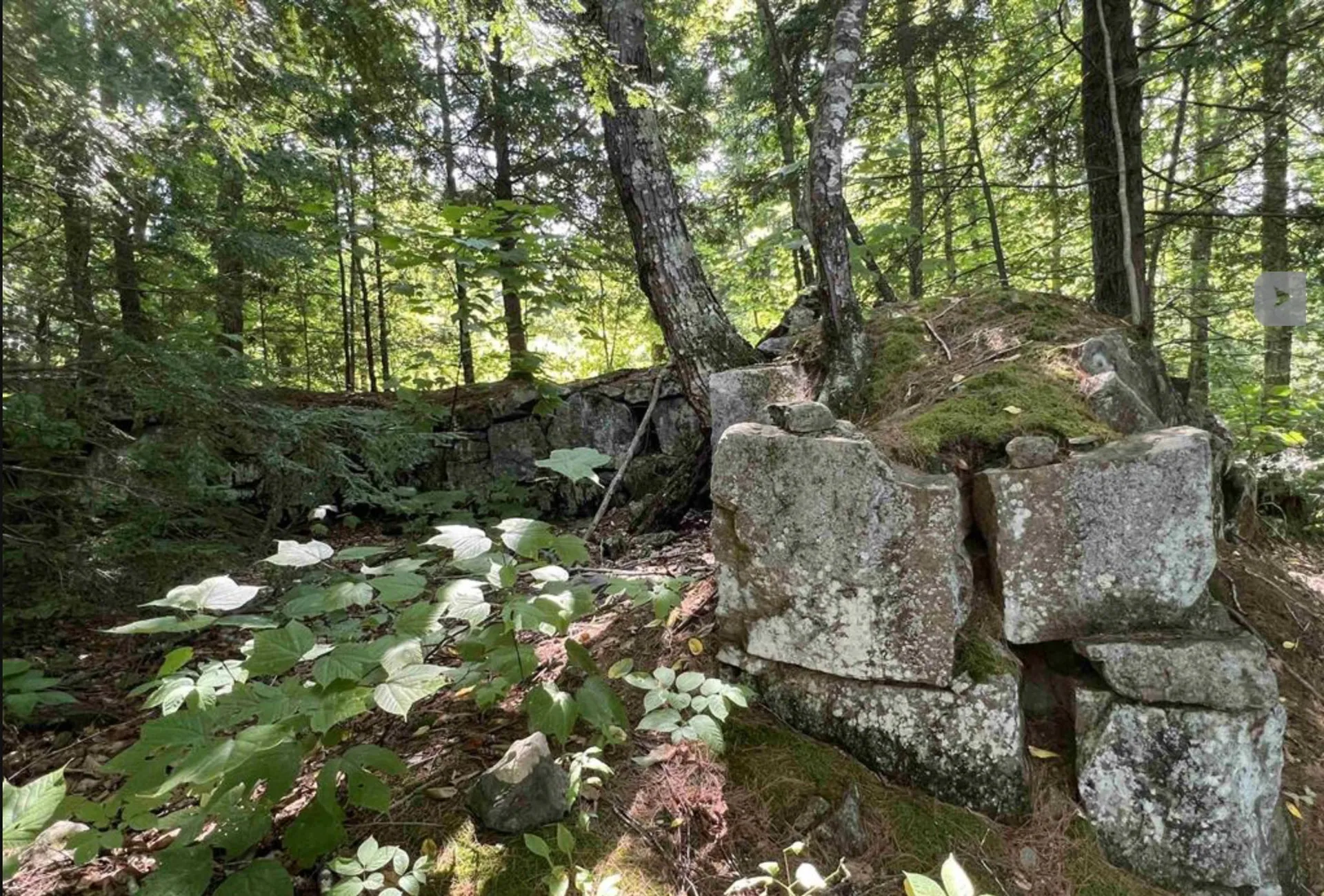 Map 6, Lot 38 Chadwick Hill Road Webster NH 03303