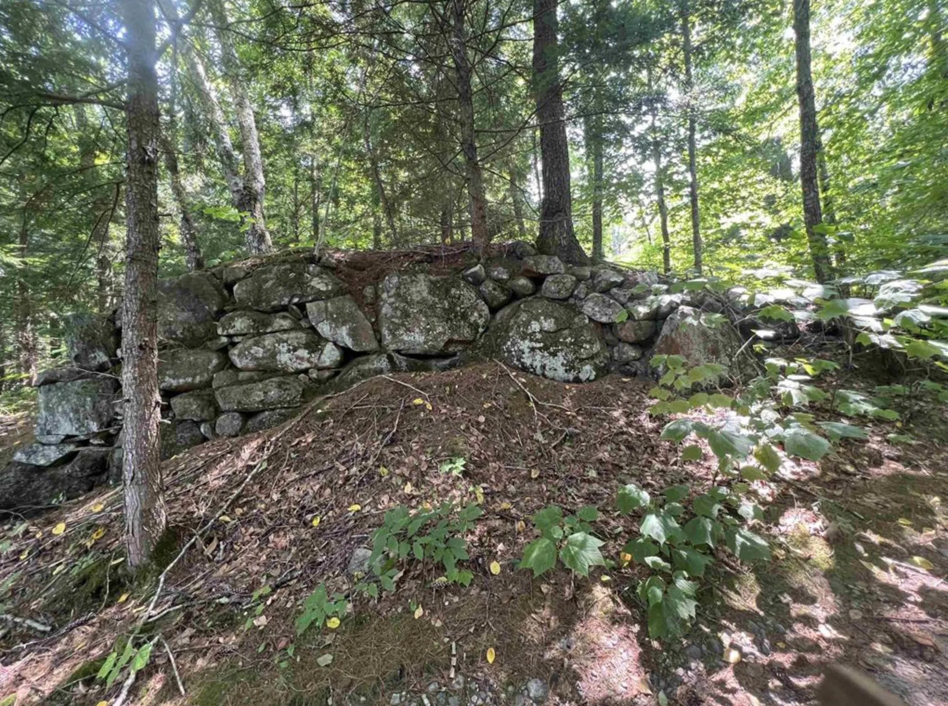 Map 6, Lot 38 Chadwick Hill Road Webster NH 03303