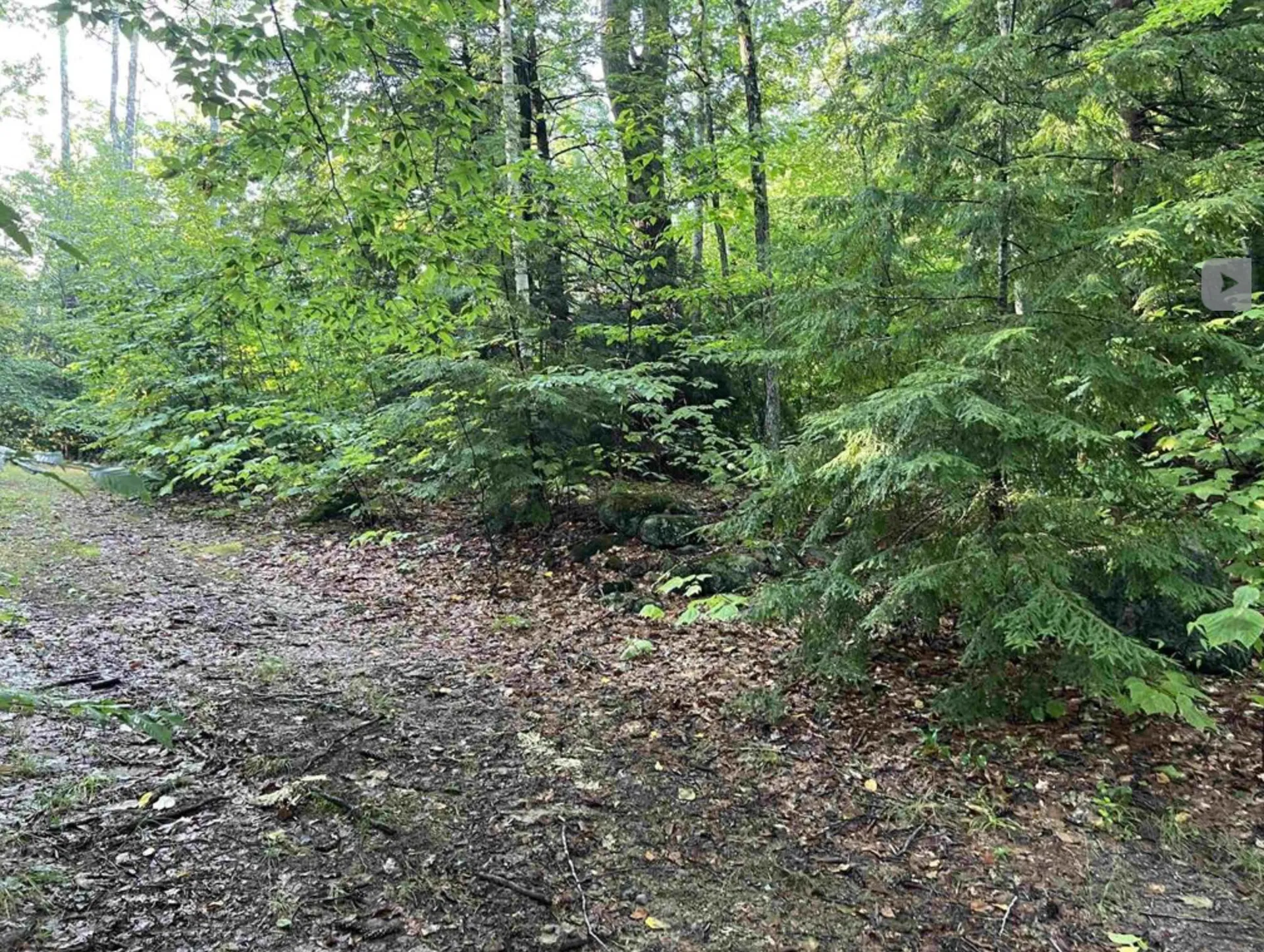 Map 6, Lot 38 Chadwick Hill Road Webster NH 03303