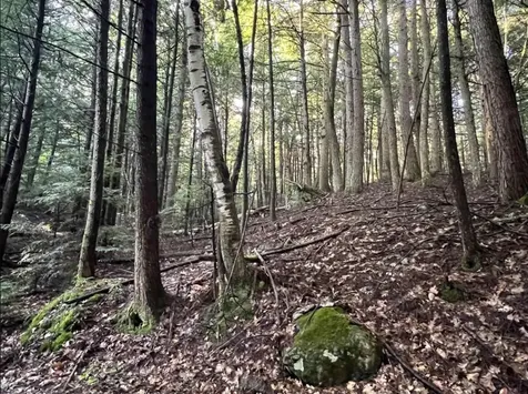 Map 6, Lot 38 Chadwick Hill Road Webster NH 03303