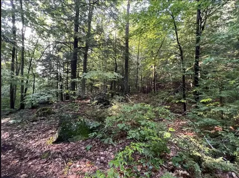 Map 6, Lot 38 Chadwick Hill Road Webster NH 03303