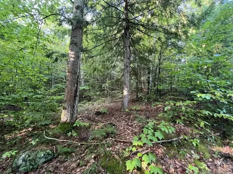 Map 6, Lot 38 Chadwick Hill Road Webster NH 03303