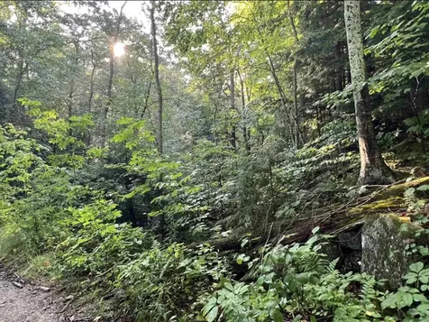 Map 6, Lot 38 Chadwick Hill Road Webster NH 03303