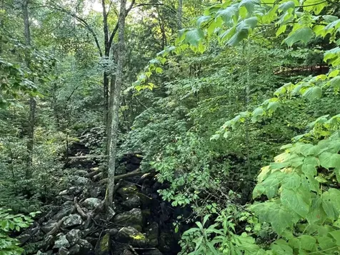 Map 6, Lot 38 Chadwick Hill Road Webster NH 03303