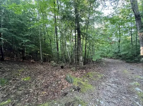 Map 6, Lot 38 Chadwick Hill Road Webster NH 03303