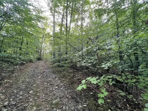 Map 6, Lot 38 Chadwick Hill Road Webster NH 03303