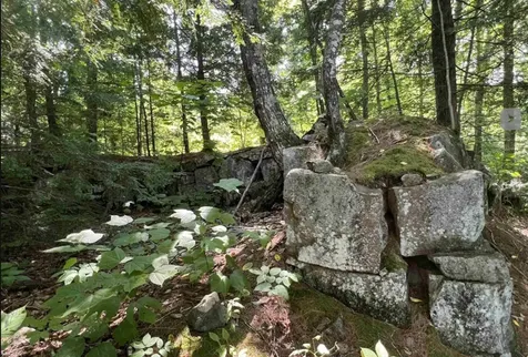 Map 6, Lot 38 Chadwick Hill Road Webster NH 03303