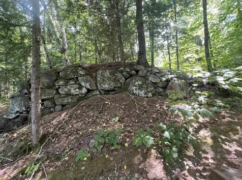 Map 6, Lot 38 Chadwick Hill Road Webster NH 03303