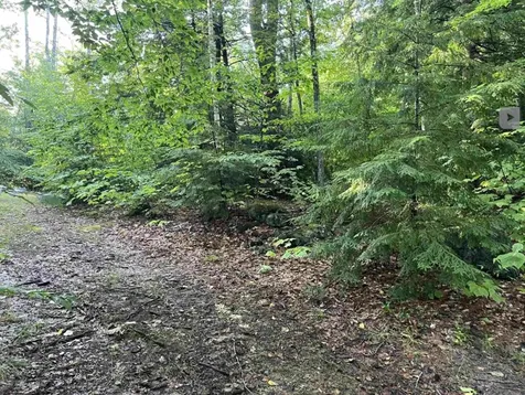 Map 6, Lot 38 Chadwick Hill Road Webster NH 03303