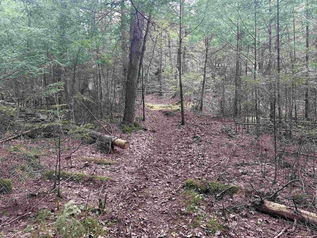 102 River Bend Meadow Drive Hyde Park VT 05655