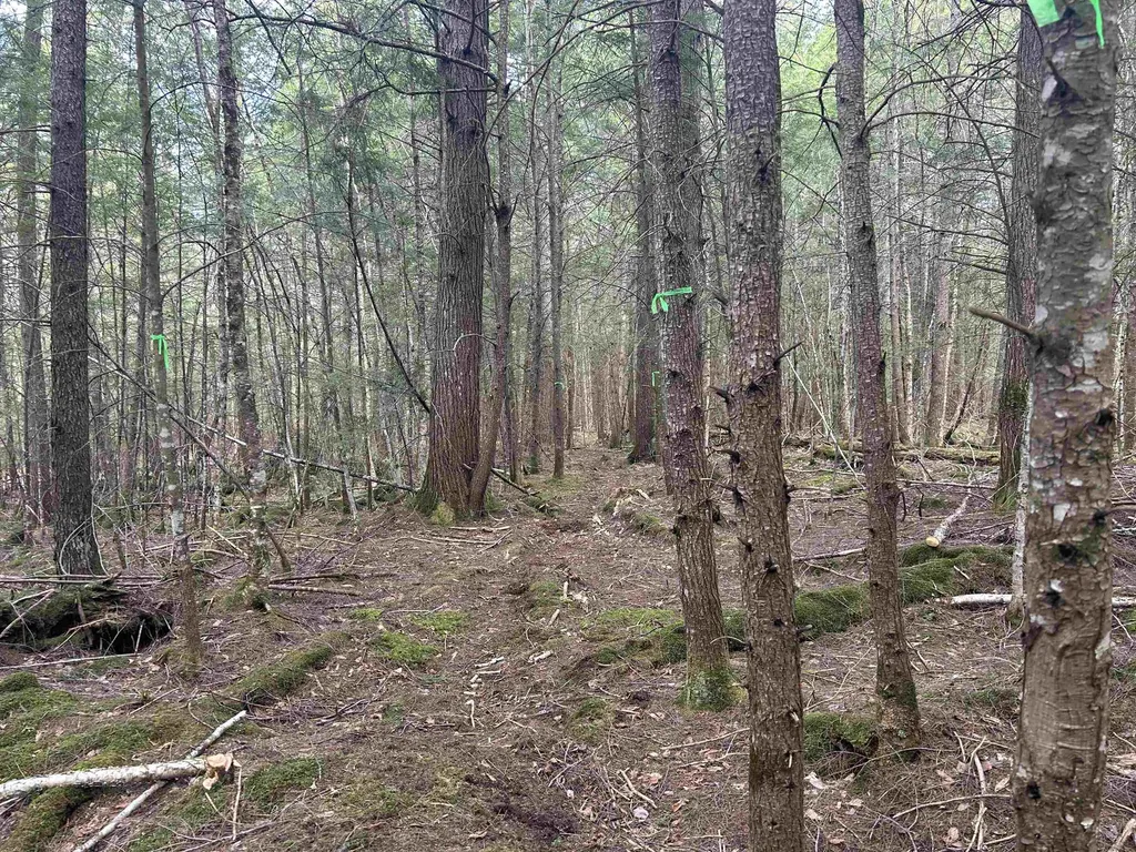 102 River Bend Meadow Drive Hyde Park VT 05655