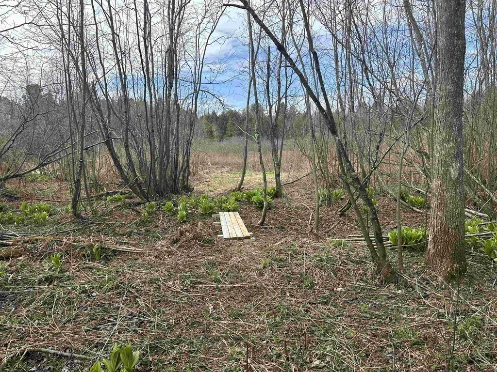 102 River Bend Meadow Drive Hyde Park VT 05655
