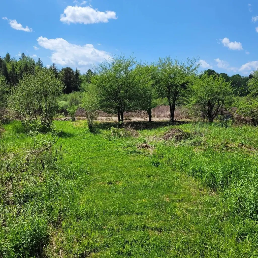 102 River Bend Meadow Drive Hyde Park VT 05655