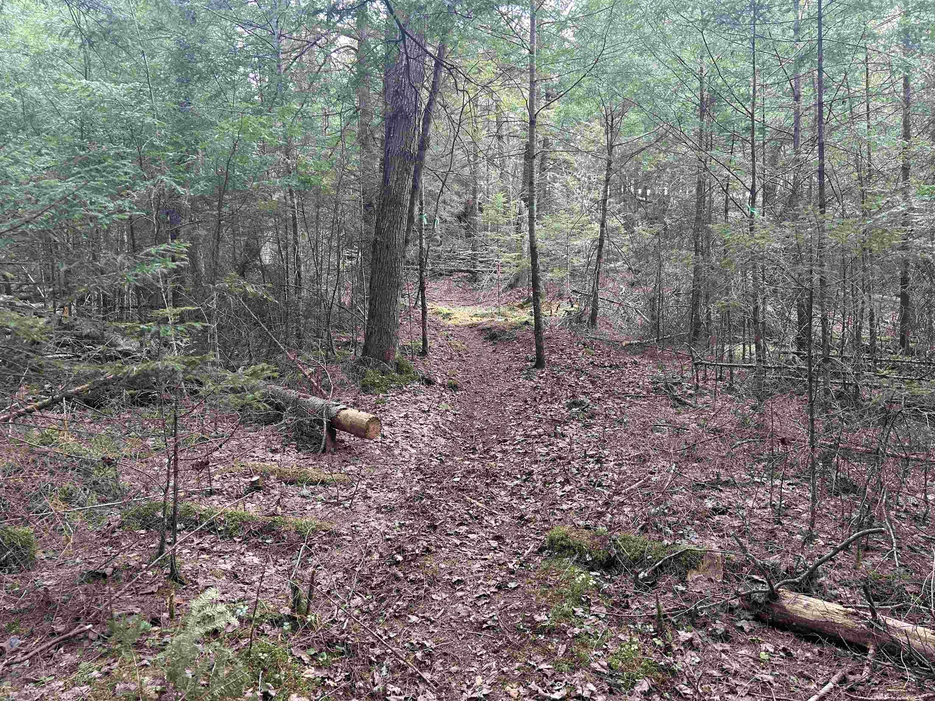 102 River Bend Meadow Drive Hyde Park VT 05655