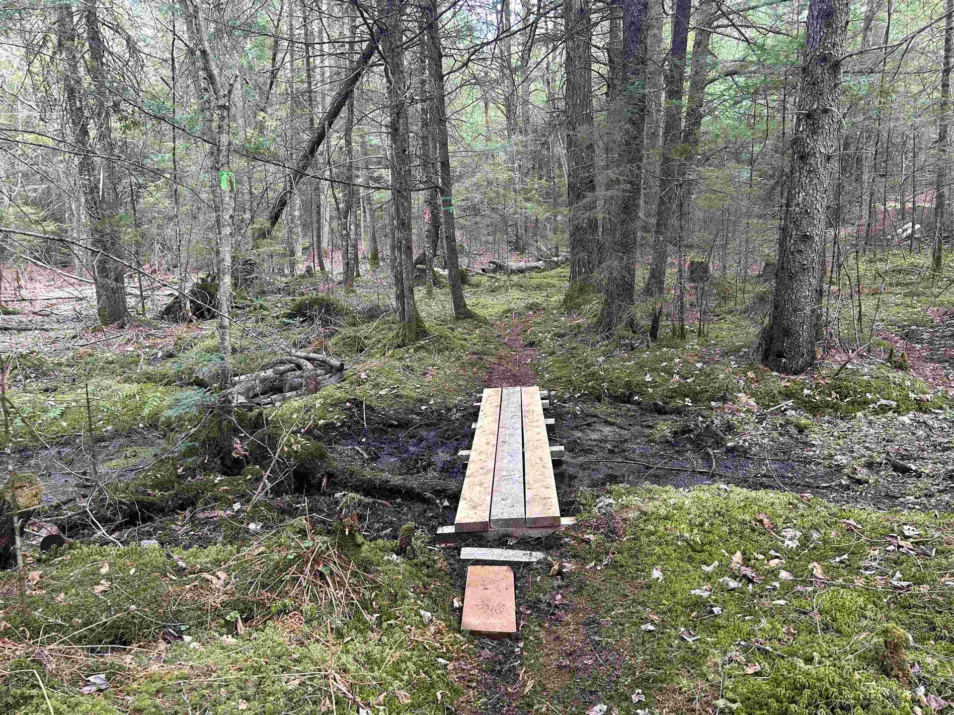 102 River Bend Meadow Drive Hyde Park VT 05655