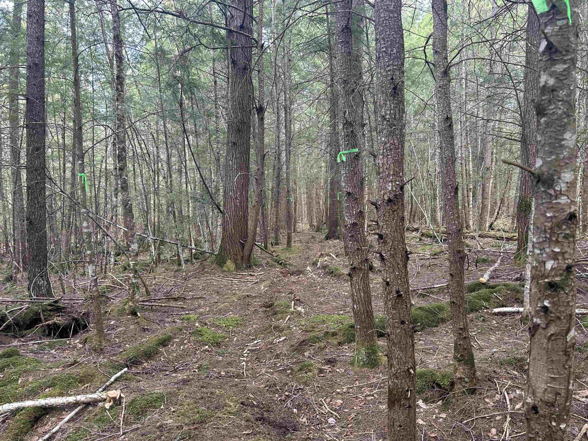 102 River Bend Meadow Drive Hyde Park VT 05655