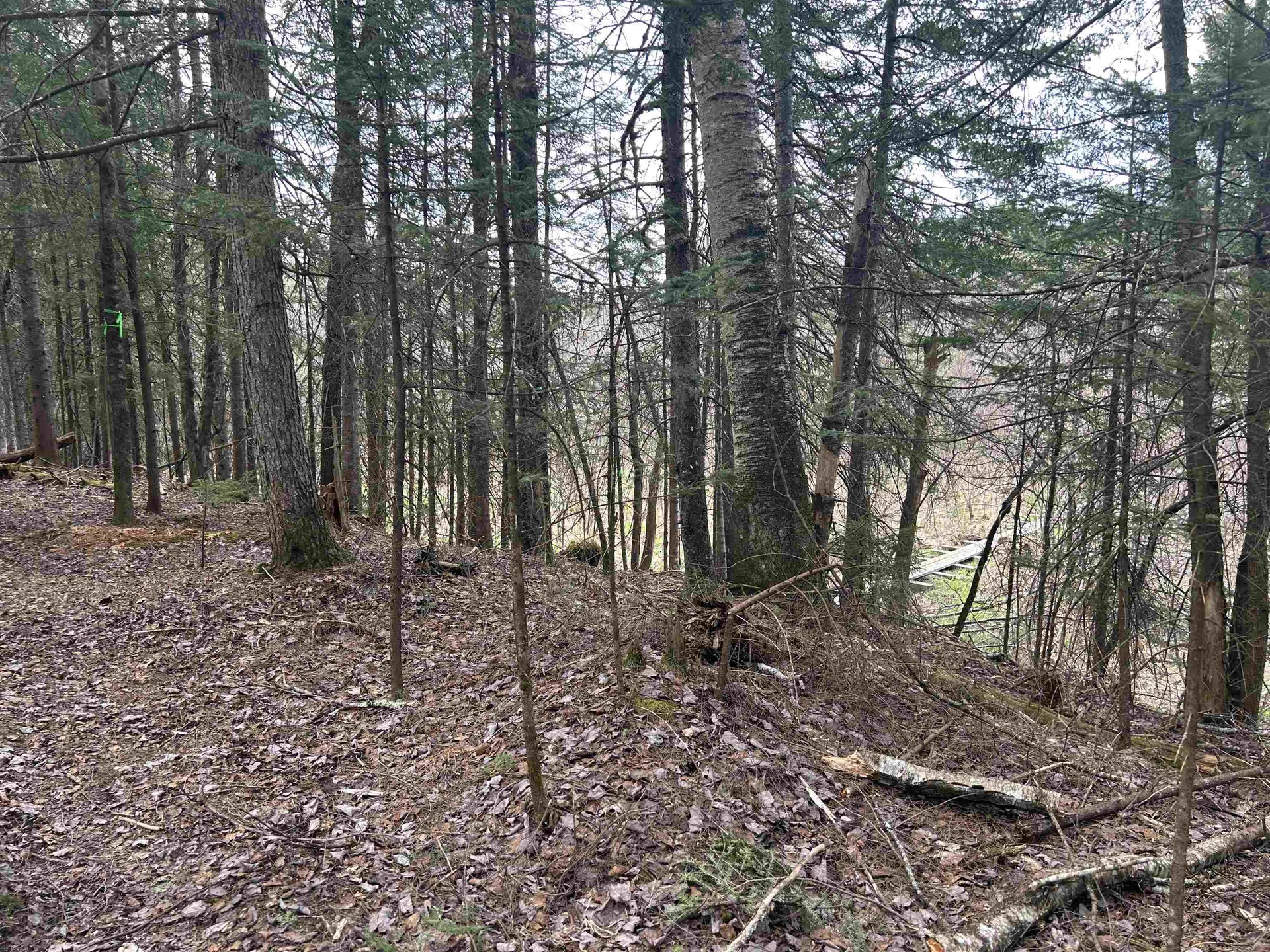 102 River Bend Meadow Drive Hyde Park VT 05655