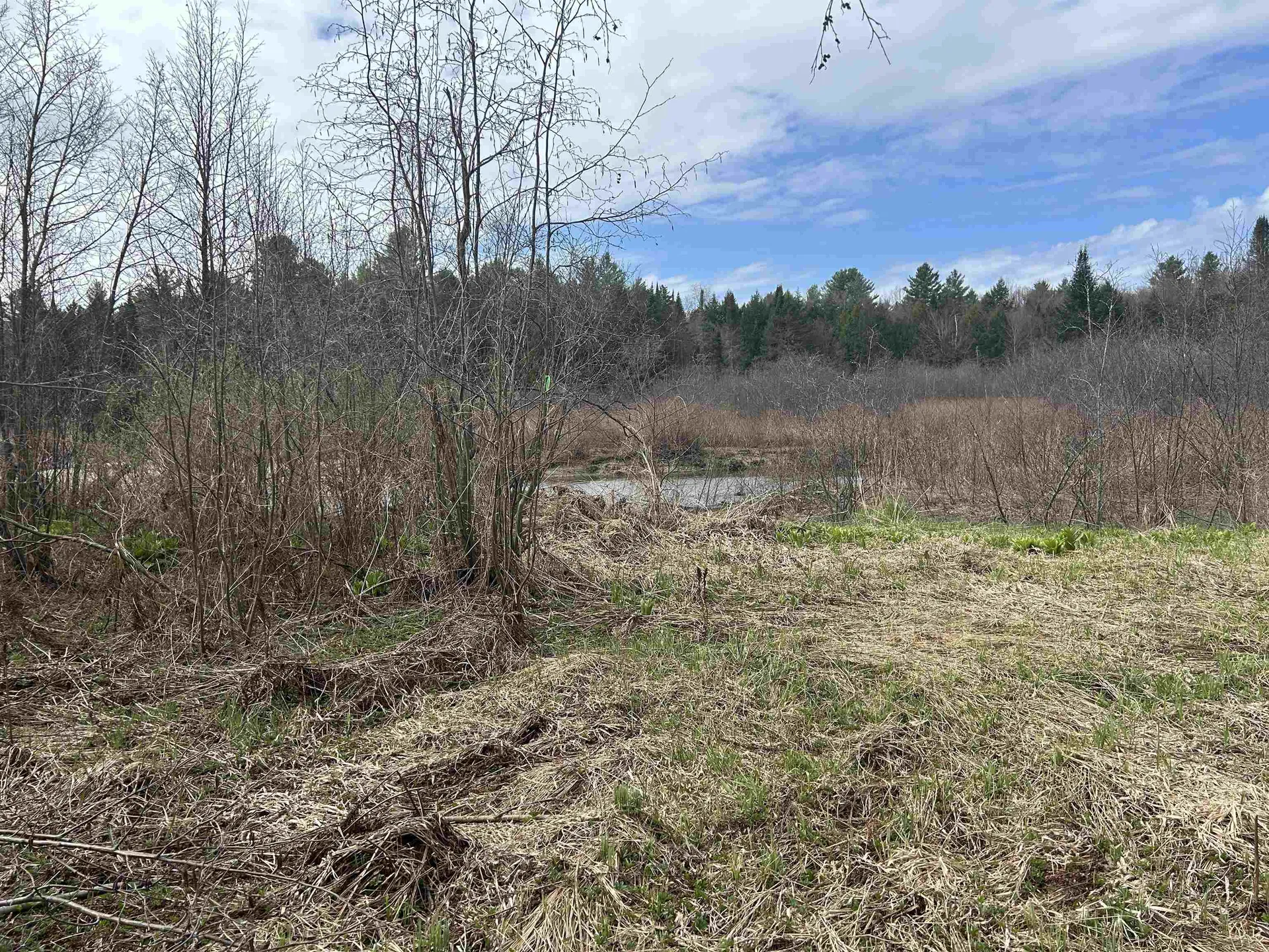 102 River Bend Meadow Drive Hyde Park VT 05655