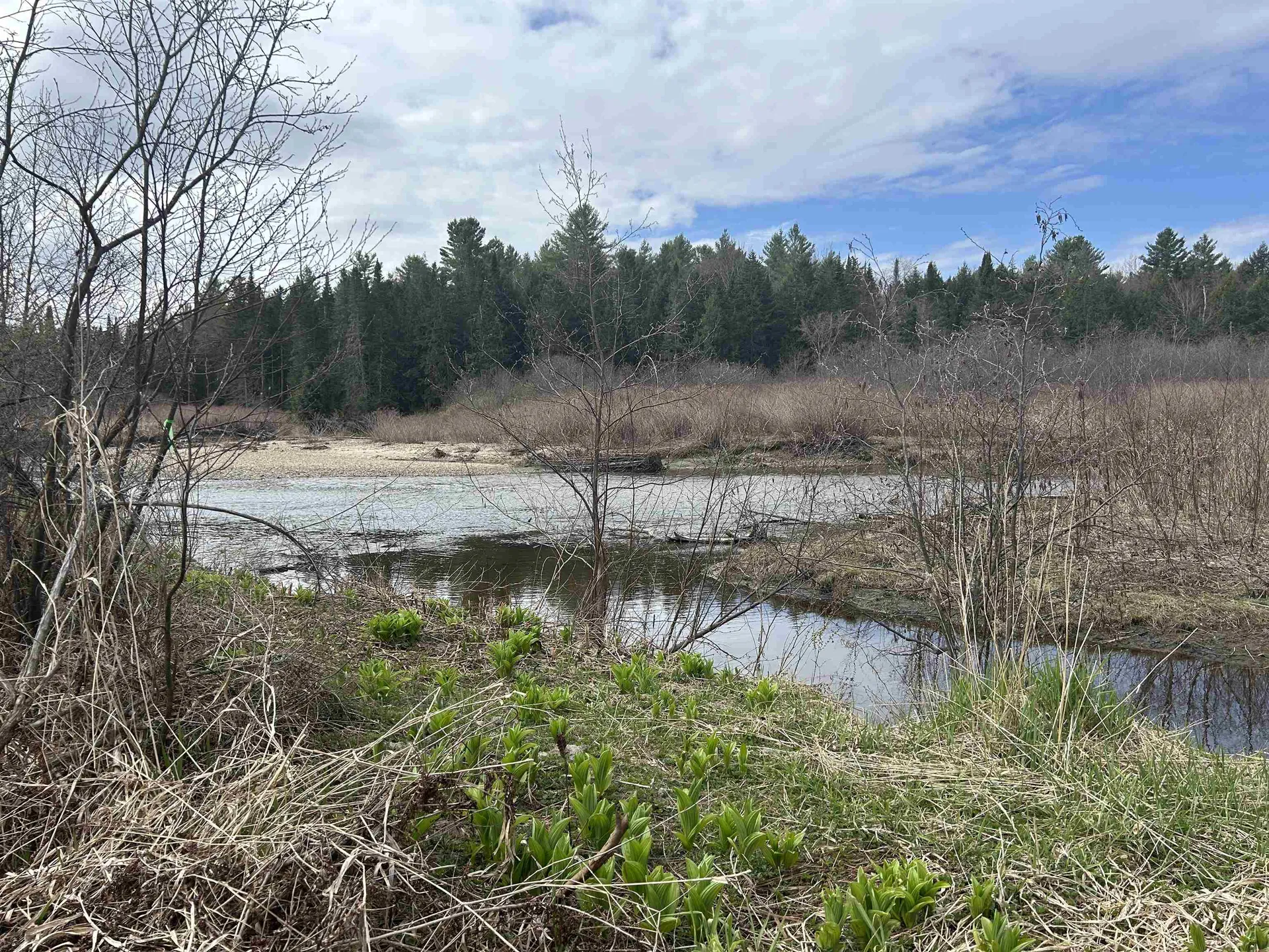 102 River Bend Meadow Drive Hyde Park VT 05655
