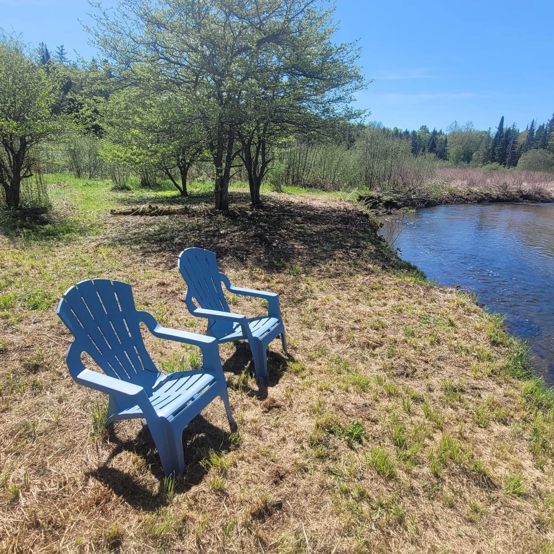 102 River Bend Meadow Drive Hyde Park VT 05655