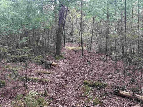 102 River Bend Meadow Drive Hyde Park VT 05655