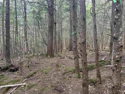 102 River Bend Meadow Drive Hyde Park VT 05655