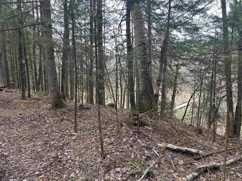 102 River Bend Meadow Drive Hyde Park VT 05655