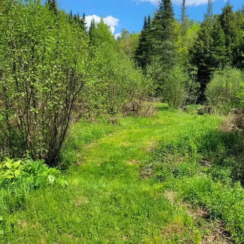 102 River Bend Meadow Drive Hyde Park VT 05655