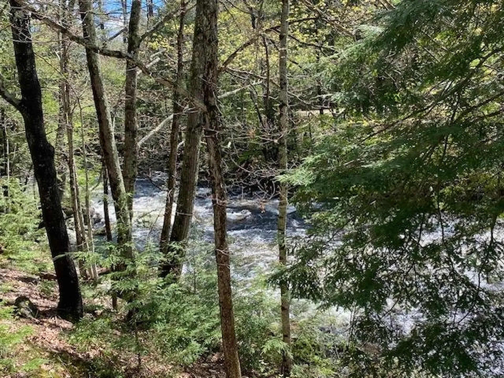 86 Route 103 Sutton NH 03260