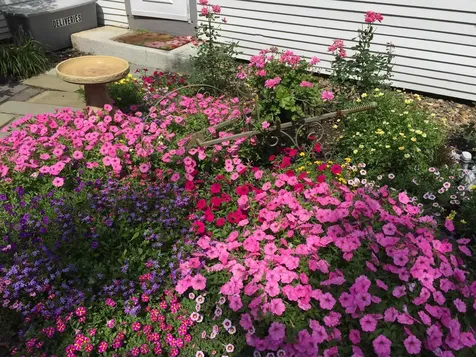 14 Curtis Road Gilford NH 03249