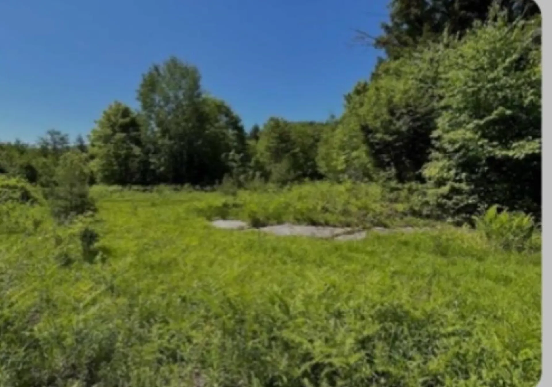 0 Alder Plains Road Bradford NH 03221