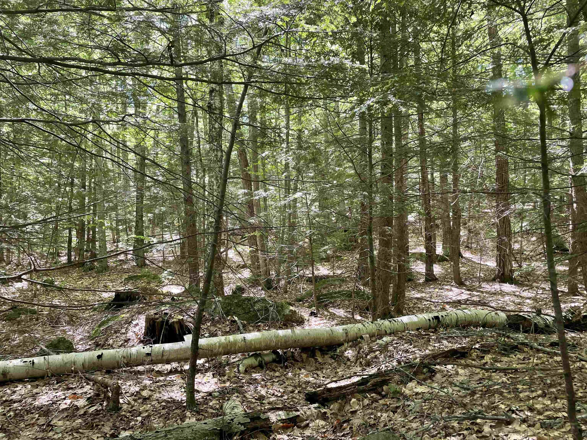 0 Alder Plains Road Bradford NH 03221