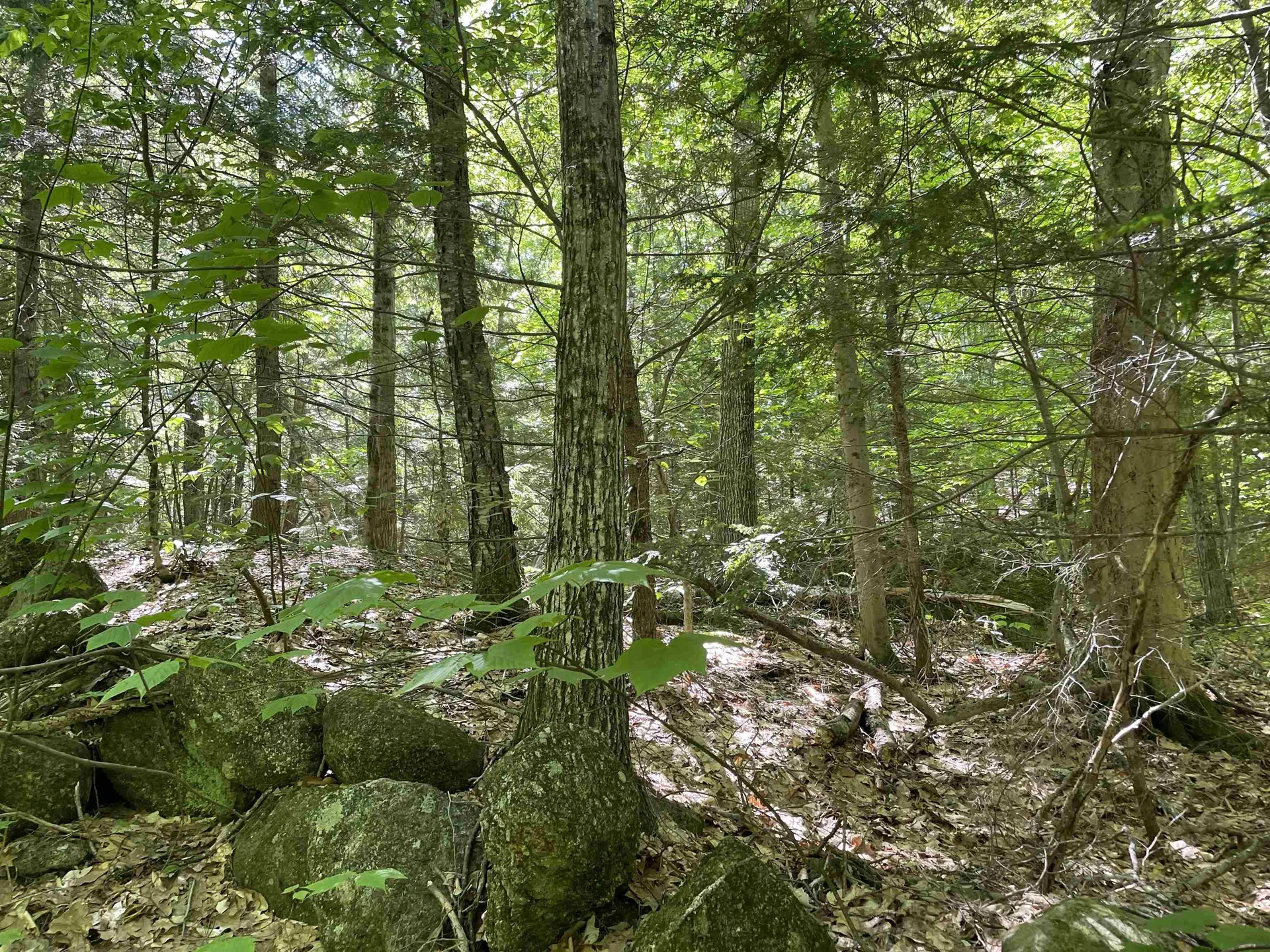 0 Alder Plains Road Bradford NH 03221