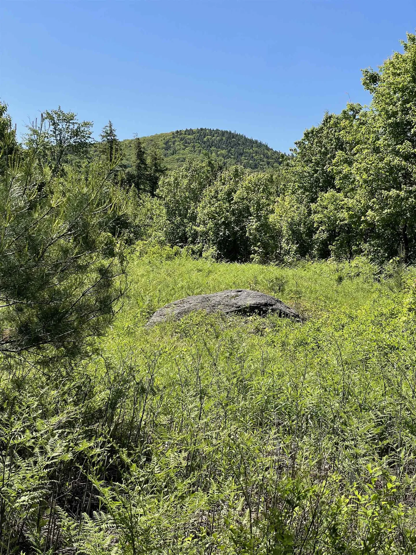 0 Alder Plains Road Bradford NH 03221