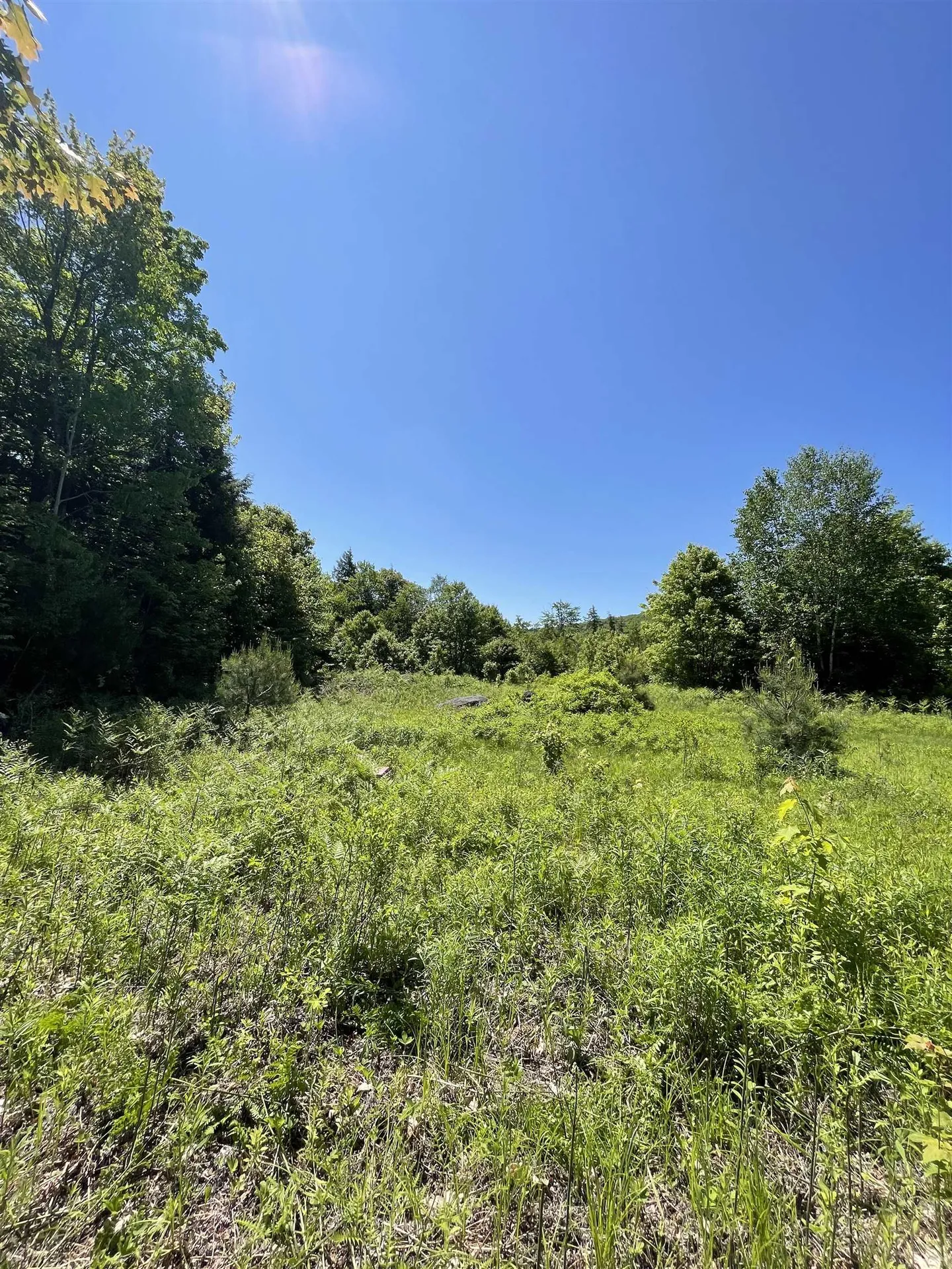 0 Alder Plains Road Bradford NH 03221