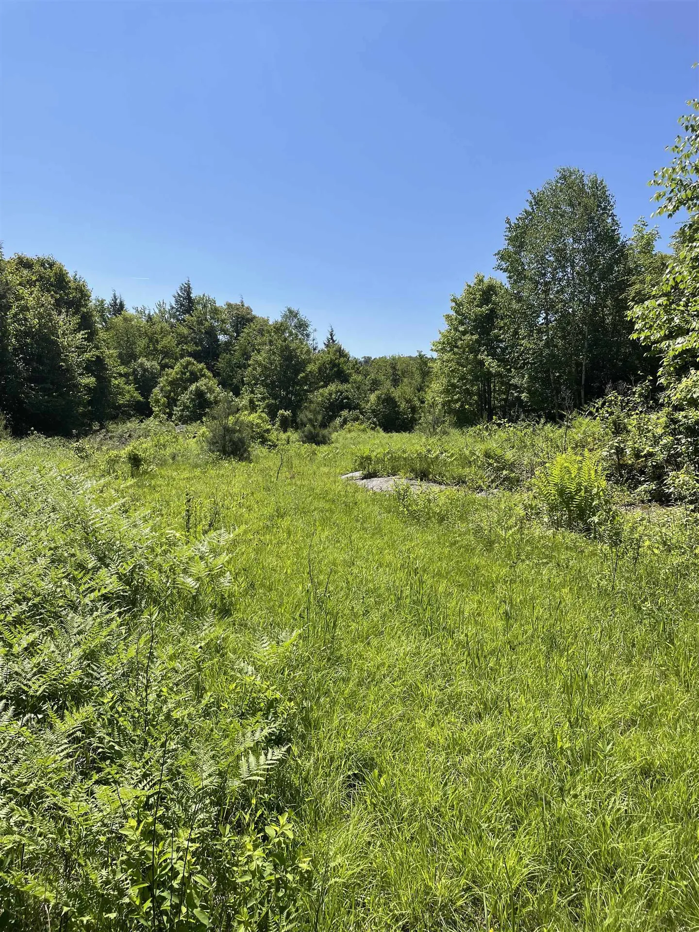 0 Alder Plains Road Bradford NH 03221
