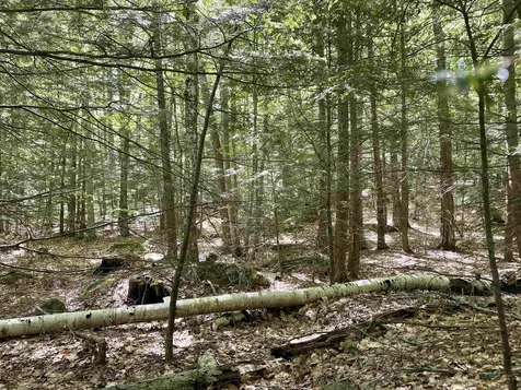 0 Alder Plains Road Bradford NH 03221