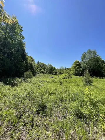 0 Alder Plains Road Bradford NH 03221