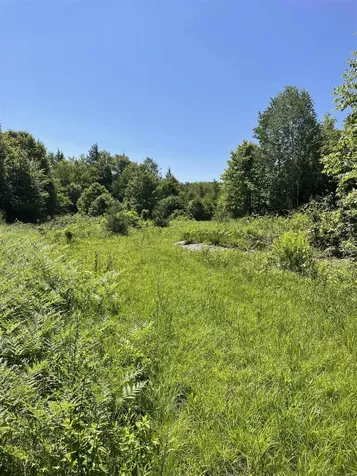 0 Alder Plains Road Bradford NH 03221