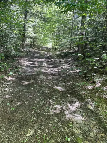 0 Alder Plains Road Bradford NH 03221