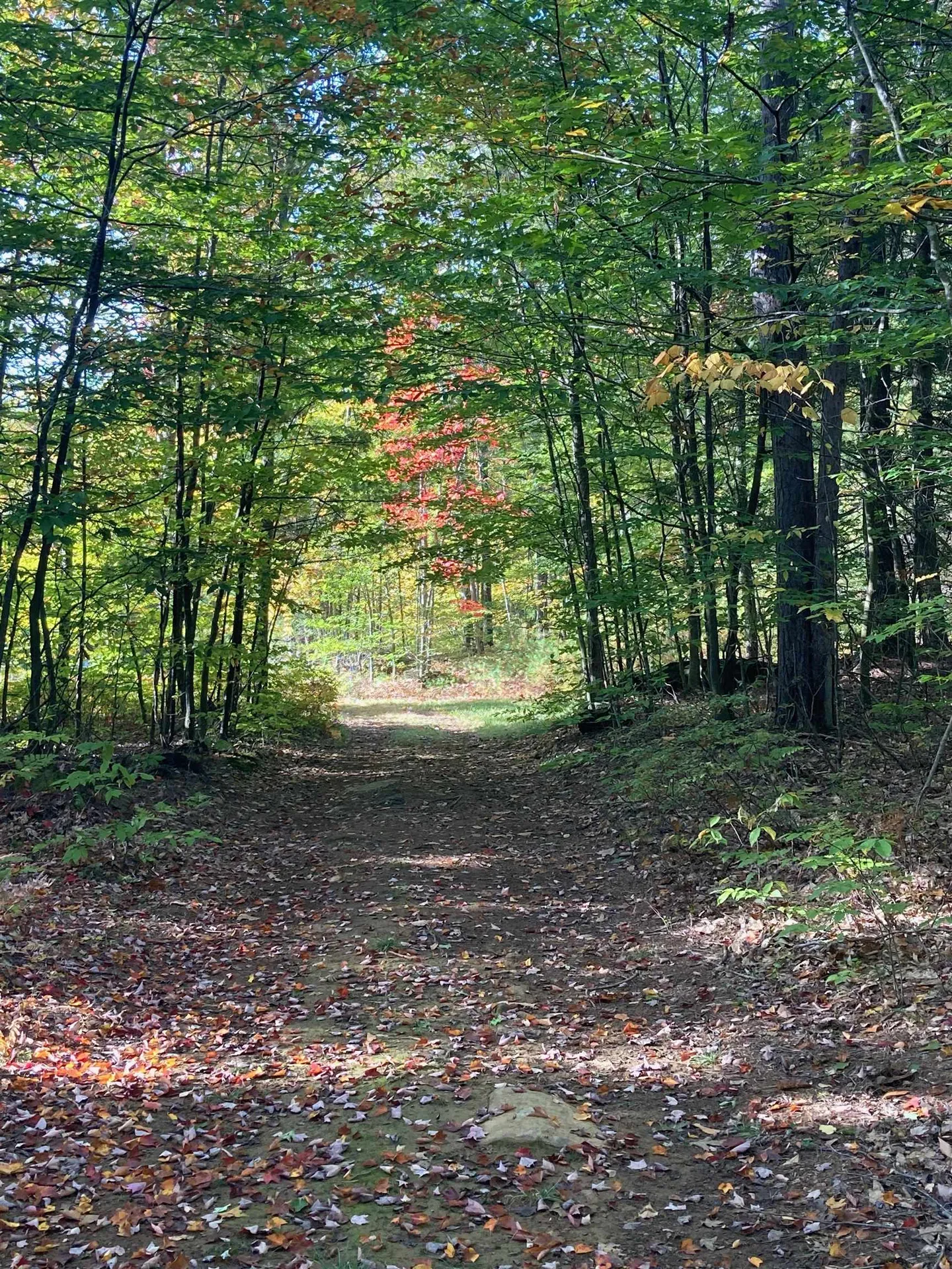 490 Clough Road Pittsfield NH 03263