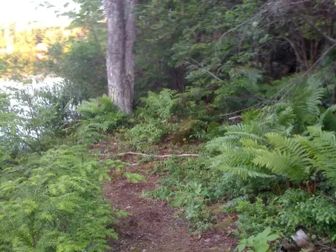 490 Clough Road Pittsfield NH 03263